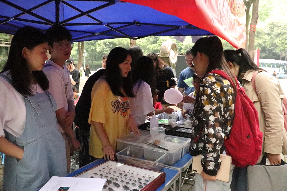2图二:蜘蛛科普展2.jpg